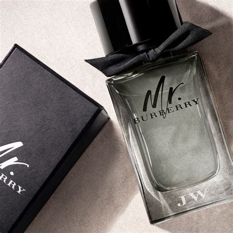 burberry mr burberry eau de toilette spray|perfume mr Burberry original.